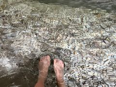 -明谷行馆·温泉