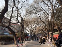 -北京国子监胡同