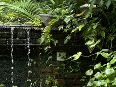 -野蔓果·山野菜(西湖景区·龙井茶田店)