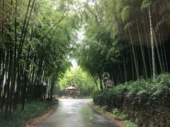 -苏州环秀晓筑养生度假村