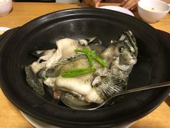 -ZF Seafood Restaurant 卓峰海鲜餐