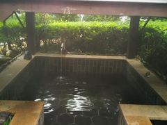 -明月山天沐温泉度假村