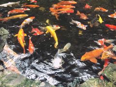 -广州白天鹅宾馆