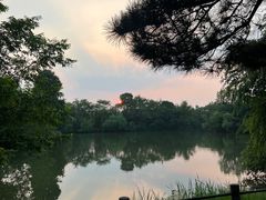 -新荣记(西溪湿地店)