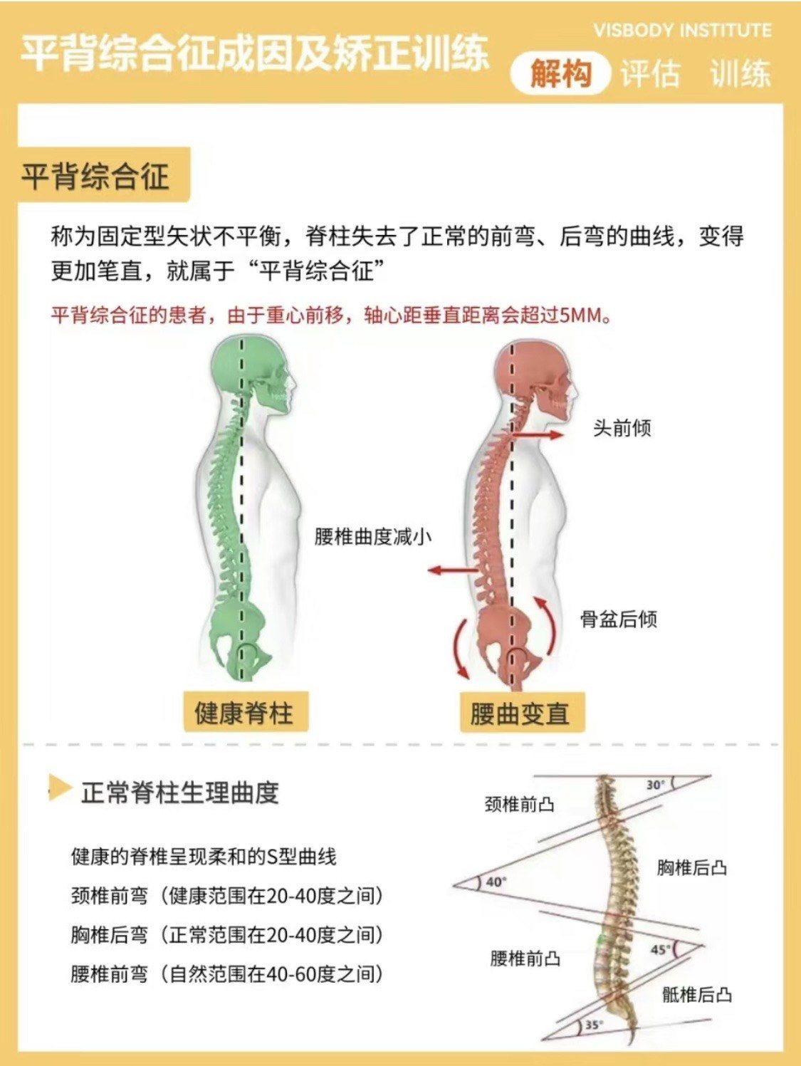 什么是平背综合征及解决调整思路