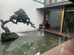 -觀芷隐轩