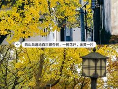 -西山风景区
