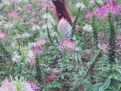 -松山湖梦幻百花洲