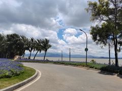 -深圳湾公园(南山区)