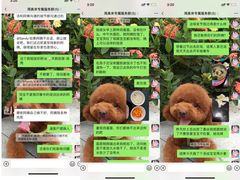 -天鹅到家·保姆月嫂育儿嫂(天河店)