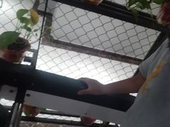 -格易美游泳馆健身房(新昆仑店)