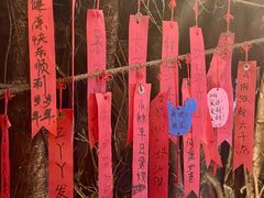 -不曾在把把烧•烧烤(莲坂磐基店)