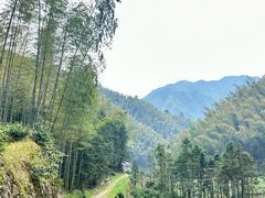 -仙霞关景区