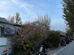 -羲和雅苑•北京烤鸭(国贸商城店)