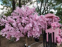 -长白岛森林公园