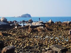 -养马岛旅游度假区