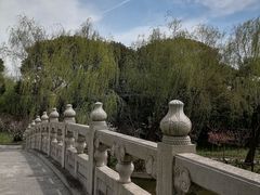-南汇桃花村