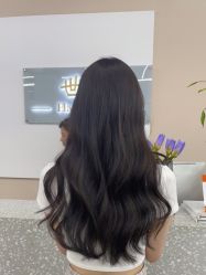 -世田造型