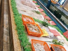 -骏莱海鲜鱼港(五角场店)