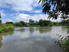-海珠湖公园