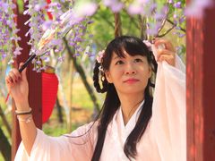 -天适樱花悠乐园
