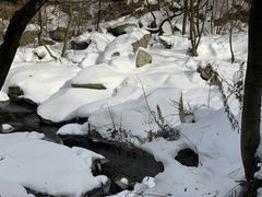 -少华山国家森林公园