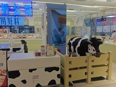 -红星前进面包牛奶公司(君太店)