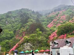 -木兰云雾山