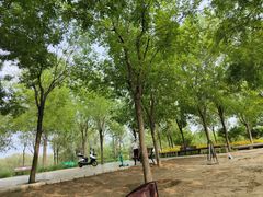 -东郊湿地公园