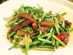 韭菜炒鹿筋-老房子金沙元年川菜食府·花园餐厅(金沙店)