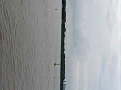 -人民防洪胜利纪念塔