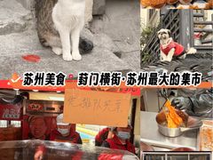 -葑门横街