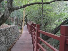 -广州市石门国家森林公园