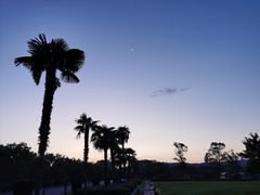 -金孔雀温泉旅游度假村