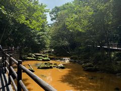 -茅兰沟国家森林公园