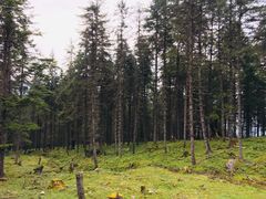 -硗碛藏寨·神木垒景区