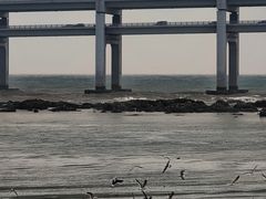 -黑石礁公园