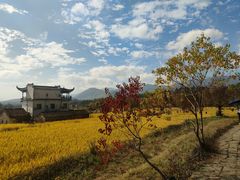 -塔川景区