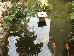 -福州市仓山小学