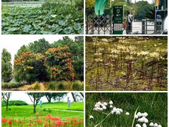 -白塘生态植物园