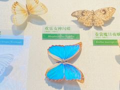 -石家庄市植物园