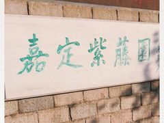 -嘉定紫藤园