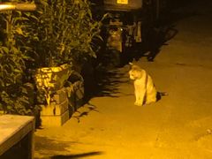 -东华门大街小区