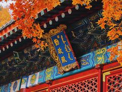 -香山公园
