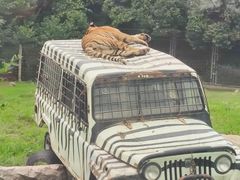 -西安秦岭野生动物园