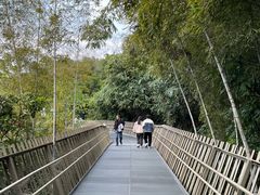 -福道