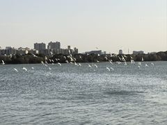 -蠡湖大桥公园