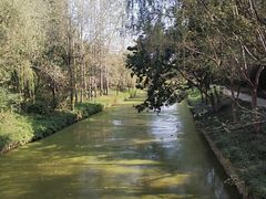 -日照海滨国家森林公园
