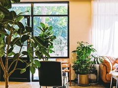 -COTTON CAFE(德信·中外公寓店)