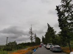 -广富林郊野公园